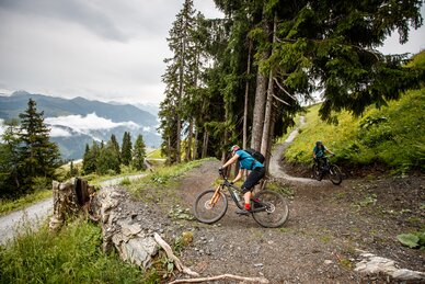 Zwei Mountainbiker fahren auf steinigem Waldtrail der Bikeschaukel, mit Bergpanorama und Wolken im Hintergrund | © Erwin Haiden
