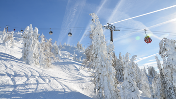 Snow-covered trees and ski tracks, colorful gondolas on the cable, blue sky with contrails in the background. | © Dorfgasteiner Bergbahnen