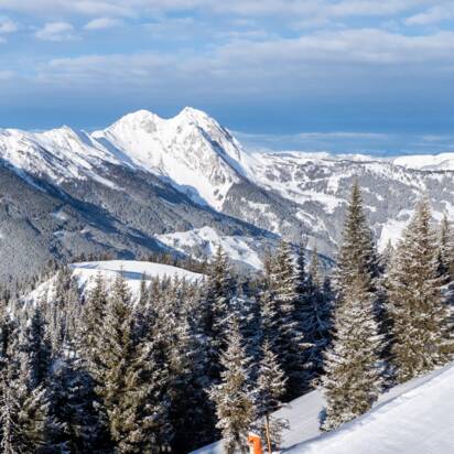 Zwei Skifahrer fahren auf präparierter Panorama-Piste in Dorfgastein, umgeben von verschneiten Bäumen und Alpenblick | © Dorfgasteiner Bergbahnen