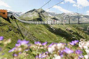 Zwei Personen stehen auf der Hängebrücke am Stubnerkogel, im Vordergrund blühen violette Sommerblumen | © Gasteiner Bergbahnen, Marktl Photography