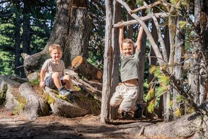 Zwei Kinder spielen im Zirbenwald am Graukogel, eines hängt an Ästen, das andere sitzt lachend auf einer Wurzel | © Skigastein, seven frames