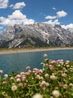 Flowers in front, people at mountain lake near Steinbockalm, Hochkönig massif in the background under blue sky. | © Roland Haschka