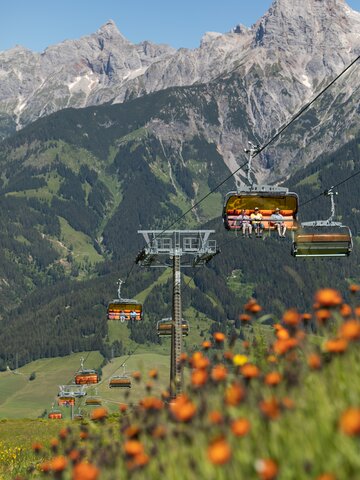 Blick auf Hochmaisbahn mit orangenen Sesseln im Sommer, blühende Almwiese im Vordergrund, Hochkönig im Hintergrund. | © Roland Haschka