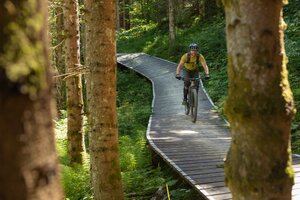 Ein Mountainbiker mit Helm und Protektoren fährt auf einem kurvigen Holzsteg durch einen dichten, sonnendurchfluteten Wald. | © Roland Haschka