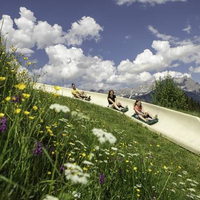 Three people toboggan down the Biberg summer slide, vibrant wildflowers in front, alpine mountain scenery in the background. | © Hochkönig / Roland Haschka