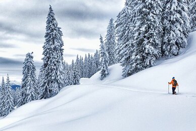 Person with orange jacket walking on touring skis towards snow-covered trees through almost untouched deep snow