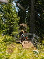 A mountain biker rides over a wooden bridge in the forest near Bürglalmbahn in Dienten on a downhill trail | © Hochkönig Bergbahnen