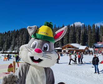 Hopsi das Hasen-Maskottchen lächelt in die Kamera und hinter ihm findet das Familienfest statt | © Planai