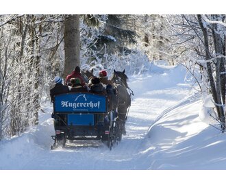 Pferdeschlitten | © Martin Huber Pferdeschlitten | © Martin Huber