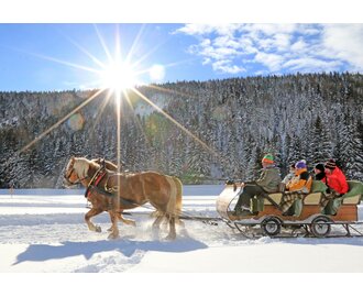 Pferdeschlitten | © Photo Austria/Martin Huber Pferdeschlitten | © Photo Austria/Martin Huber