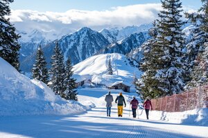 Vier Wanderer spazieren auf einem verschneiten Winterwanderweg mit Blick auf Almhütten und Berge. | © Gerald Oberreiter