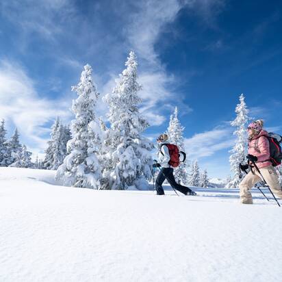 Zwei Frauen mit Rucksack und Stöcken gehen bei Sonne mit Skiern durch verschneiten Wald