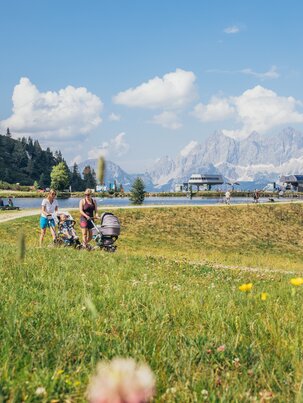 Familien mit Kinderwagen spazieren an einem Bergsee auf der Reiteralm entlang, umgeben von Blumenwiese, Hütten und Bergen. | © Gerald Grünwald