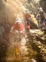 Four mountain bikers, including two kids, ride a narrow forest trail on Reiteralm with warm sunlight filtering through trees. | © Reiteralm Bergbahnen, lorenzmasser.com