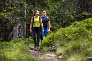 Two hikers walk along a narrow forest trail through green meadows and dense conifer trees in Filzmoos. | © filzmoos.ski_Christian Fischbacher