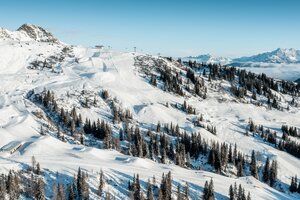 Shuttleberg ski area with shaped slopes, lifts, forest and mountains in the background