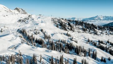 Skigebiet Shuttleberg mit geshapten Pisten, Liften, Wald und Bergen im Hintergrund