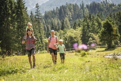 Happy family hikes through blooming alpine meadow by forest edge on a sunny summer holiday in the Salzburger Alps.