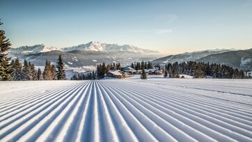 Perfekt präparierte Piste in Flachau mit verschneiten Bäumen und Bergpanorama