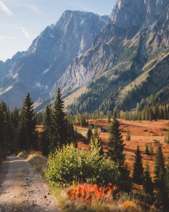 Herbstliche Landschaft verfärbten Bäumen und der Mandelwand im Bild. | © Hochkönig Tourismus GmbH