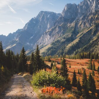 Autumn landscape with discoloured trees and the almond wall in the picture. | © Hochkönig Tourismus GmbH