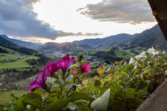 Weitblick Aussicht Weitblick Aussicht