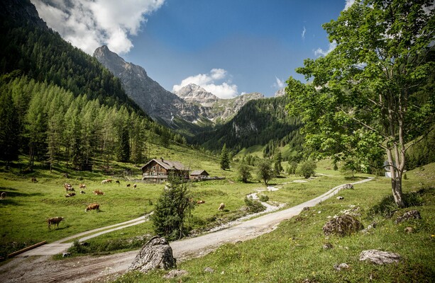 HM_Flachau_0221_Web