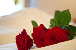 VitalUndFamilienhotelAngerwirtWohnenInKleinarl (3)