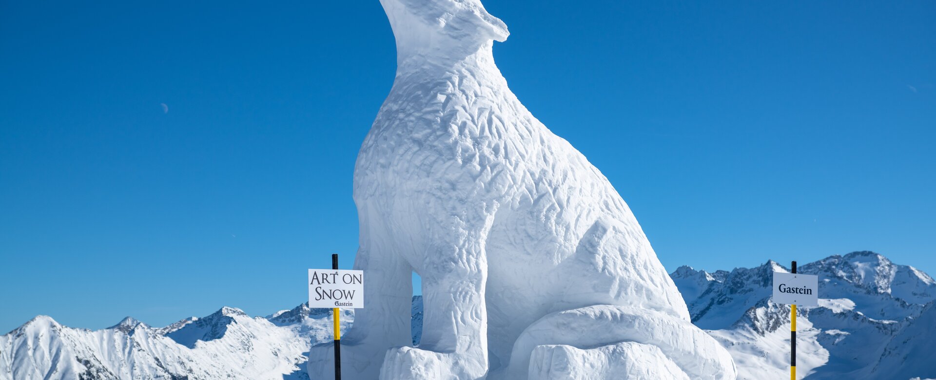 Große Schneeskulptur eines sitzenden Wolfs bei Art on Snow Gastein mit Bergen im Hintergrund | © Gasteinertal Tourismus GmbH, Christoph Oberschneider