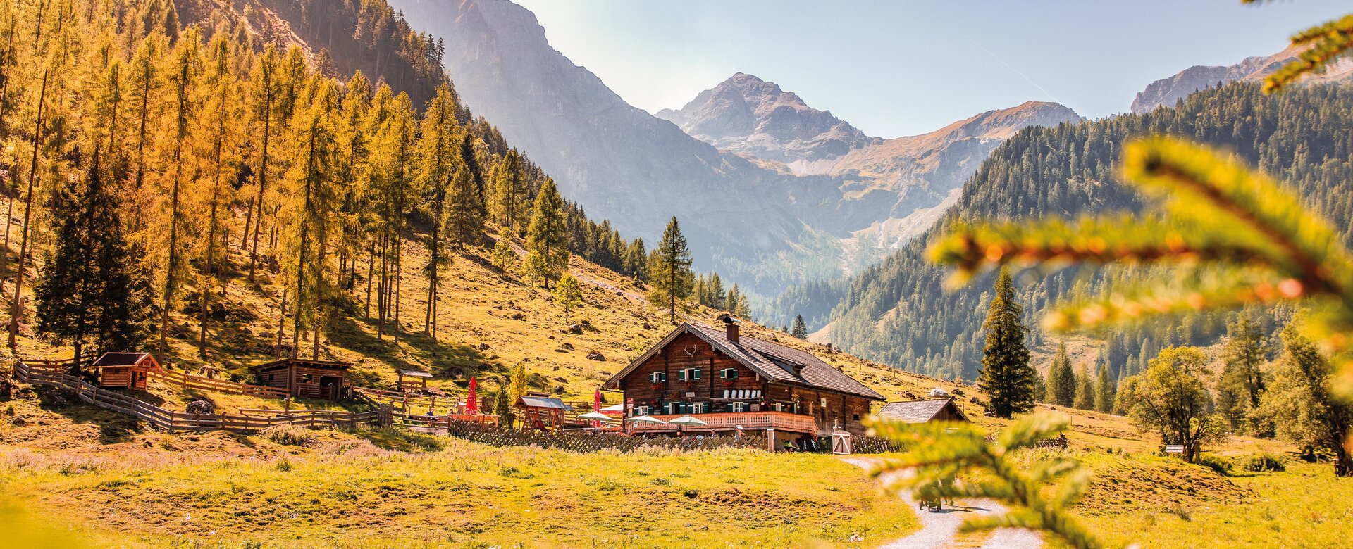 Marbachalm mit Holzhaus im goldenen Herbst, umgeben von Bergen und Wald | © Flachau Tourismus