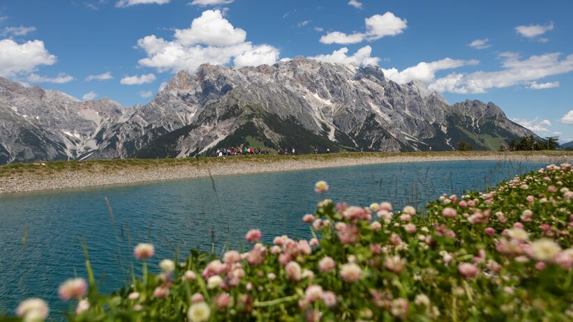 Blumen im Vordergrund, Menschen am Bergsee bei der Steinbockalm, dahinter das Hochkönigmassiv unter blauem Himmel. | © Roland Haschka