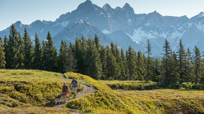 Wanderer mit Hund auf Bergpfad bei Filzmoos, im Hintergrund das Dachsteinmassiv und grüne Almwiesen unter blauem Himmel. | © Salzburger Sportwelt, Lorenz Masser