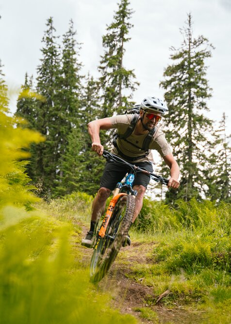 Ein Mountainbiker fährt auf einem schmalen Waldtrail in Dienten durch grünes Gras und hohe Nadelbäume | © Hochkönig Bergbahnen