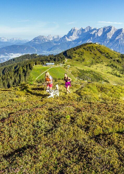 Zwei Frauen wandern mit einem Hund über blühende Almflächen der Planai, im Hintergrund Wälder, Täler und das Dachsteinmassiv. | © Josh Absenger