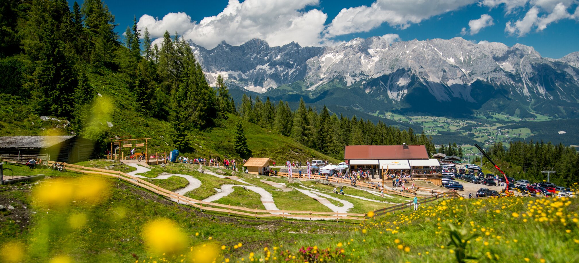 Family-friendly junior bike trails on Reiteralm with blooming meadow, alpine hut, kids riding bikes and Dachstein range behind. | © Reiteralm Bergbahnen