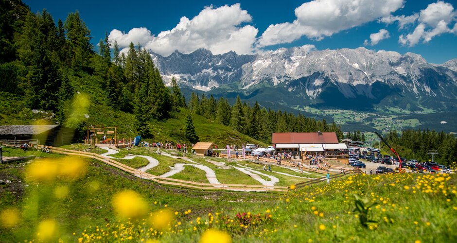 Kindergerechte Junior Bike Trails auf der Reiteralm mit Familien, blühender Wiese, Almhütte und Blick auf das Dachsteinmassiv. | © Reiteralm Bergbahnen