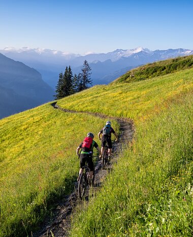 Zwei Mountainbiker fahren auf einem Singletrail durch eine blühende Wiese mit Blick auf das Großarltal und die Berge. | © mtb_travel