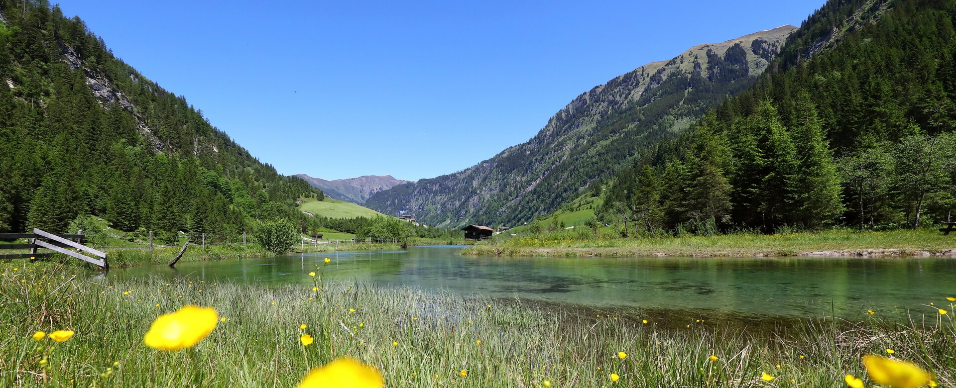 Sommerliche Almwiese mit gelben Blumen am klaren See im Talschluss von Hüttschlag, umgeben von Wäldern und Bergen. | © TVB Großarltal