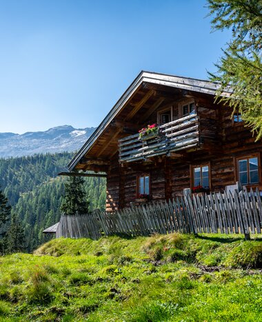 Holzalmhütte im Großarltal mit Zaun, grüner Wiese und Blick auf bewaldete Berge unter blauem Himmel | © Gipfelfieber