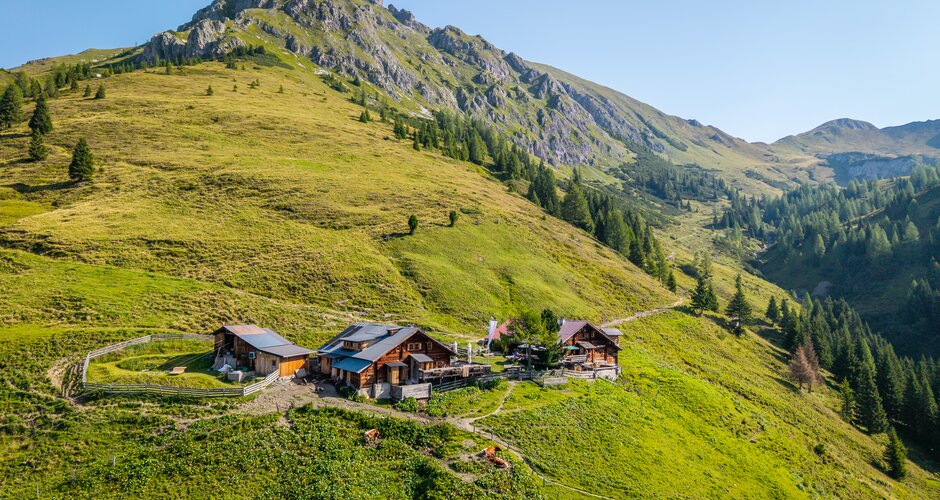 Almhütte auf grüner Alm im Großarltal mit Weide, Wanderweg und Berggipfel in sommerlicher Landschaft | © Gipfelfieber