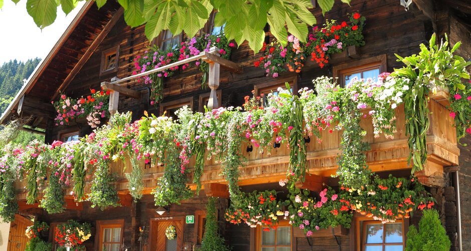 Holzhaus in Dienten mit üppig geschmücktem Balkon voller bunter Blumen und grünem Blätterdach im Vordergrund