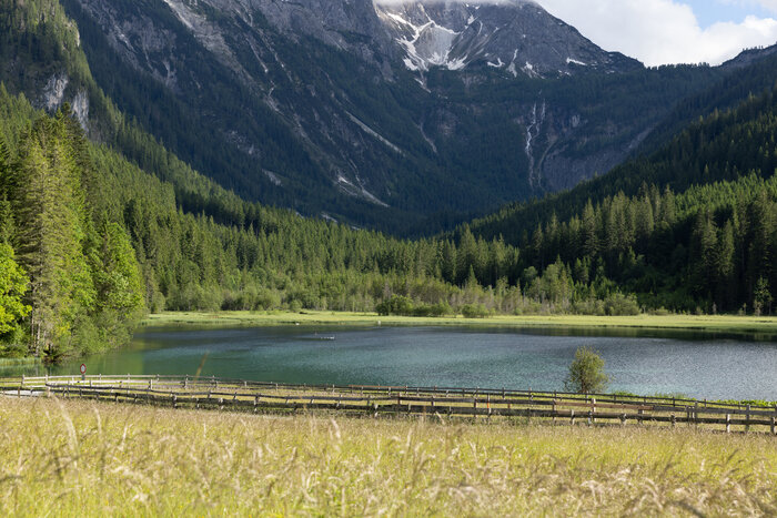 Ruhiger Sommertag am Jägersee in Wagrain-Kleinarl | © Wagrain-Kleinarl Tourismus/Robert Schabus Blick auf den Jägersee mit klarer Wasseroberfläche, Wiesen und dichten Wäldern vor einer imposanten Bergkulisse | © Wagrain-Kleinarl Tourismus/Robert Schabus