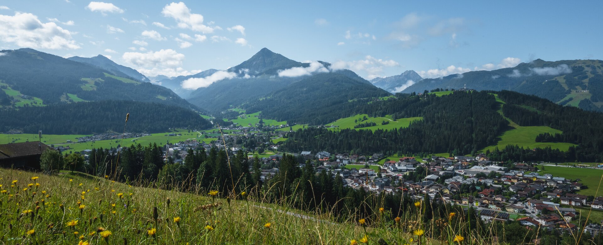 Blick über blühende Wiese auf Altenmarkt mit Häusern, grünen Hängen, bewaldeten Bergen und Wolken | © Christian Schartner