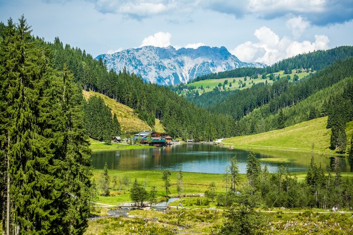Steirischer Bodensee mit Waldkulisse und Bergpanorama | © René Eduard Perhab Blick auf den Steirischen Bodensee mit umliegendem Wald, grünen Hügeln und markantem Bergmassiv im Hintergrund | © René Eduard Perhab