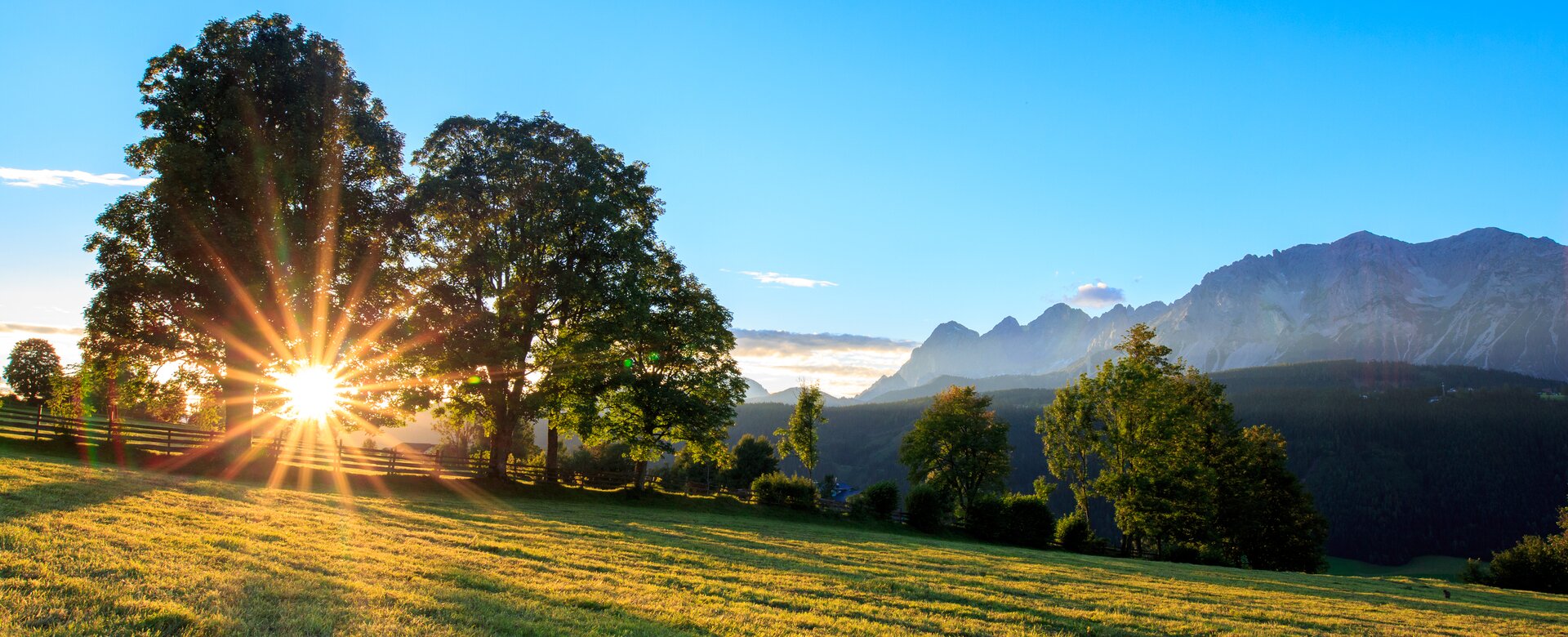 Sonnenstrahlen scheinen durch Bäume auf eine Wiese in Rohrmoos, im Hintergrund die Berge der Schladminger Tauern | © photo austria