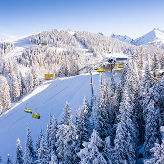Luftaufnahme der Planai mit verschneiten Bäumen, Pisten und einer gelben Seilbahn vor blauem Himmel. | © Josh Absenger