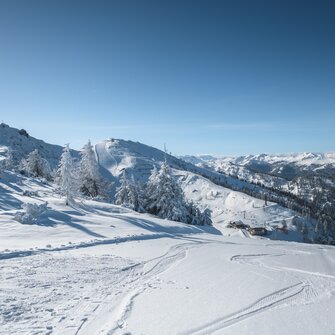 Schneebedeckte Berge mit Skispuren unter klarem, blauem Himmel. | © Ski amadé