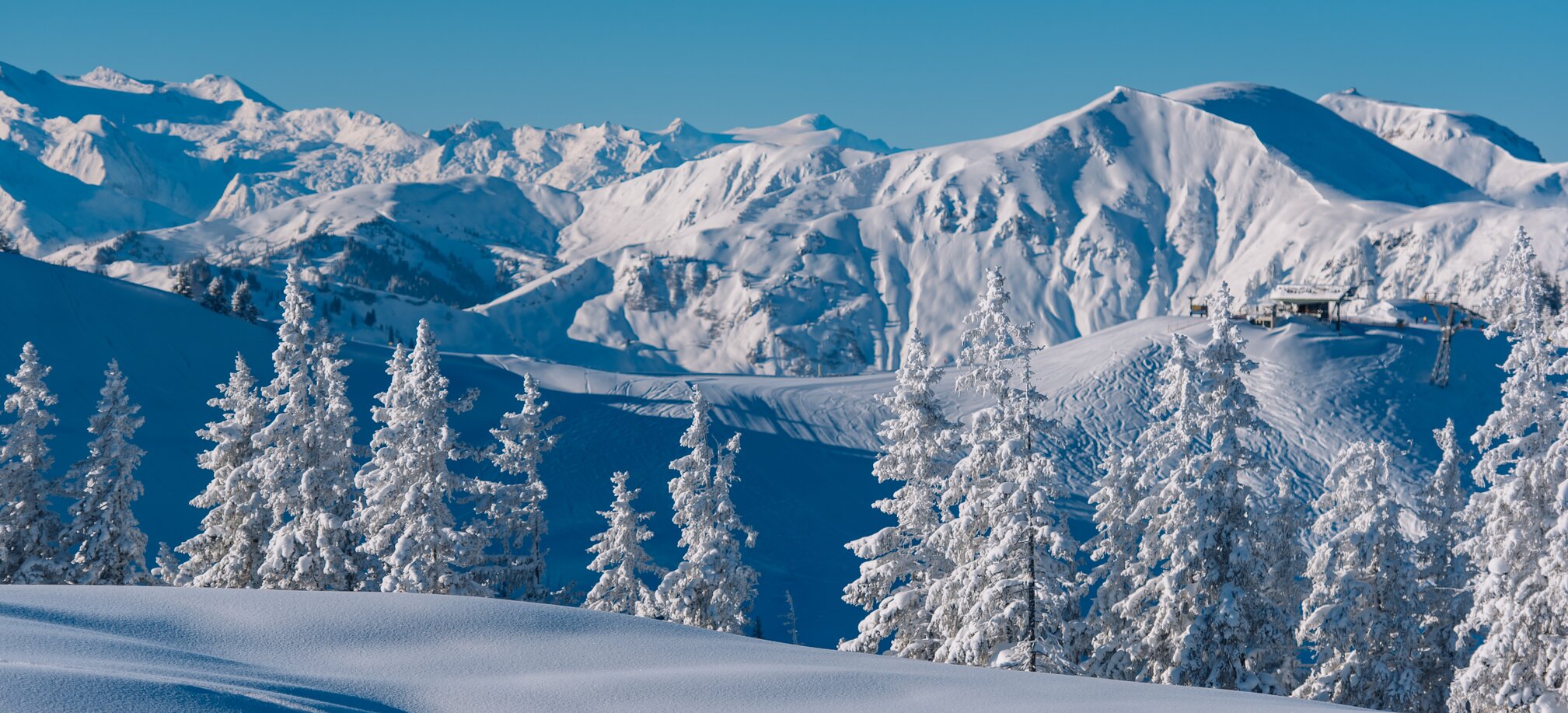 Verschneite Bäume und unberührter Schnee vor einer beeindruckenden Bergkulisse. | © Ski amadé