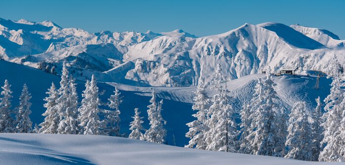 Verschneite Bäume und unberührter Schnee vor einer beeindruckenden Bergkulisse. | © Ski amadé