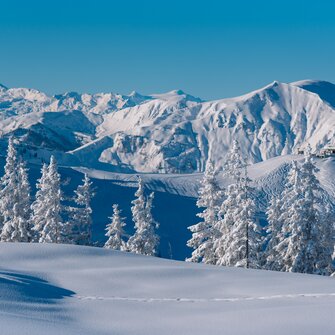 Verschneite Bäume und unberührter Schnee vor einer beeindruckenden Bergkulisse. | © Ski amadé